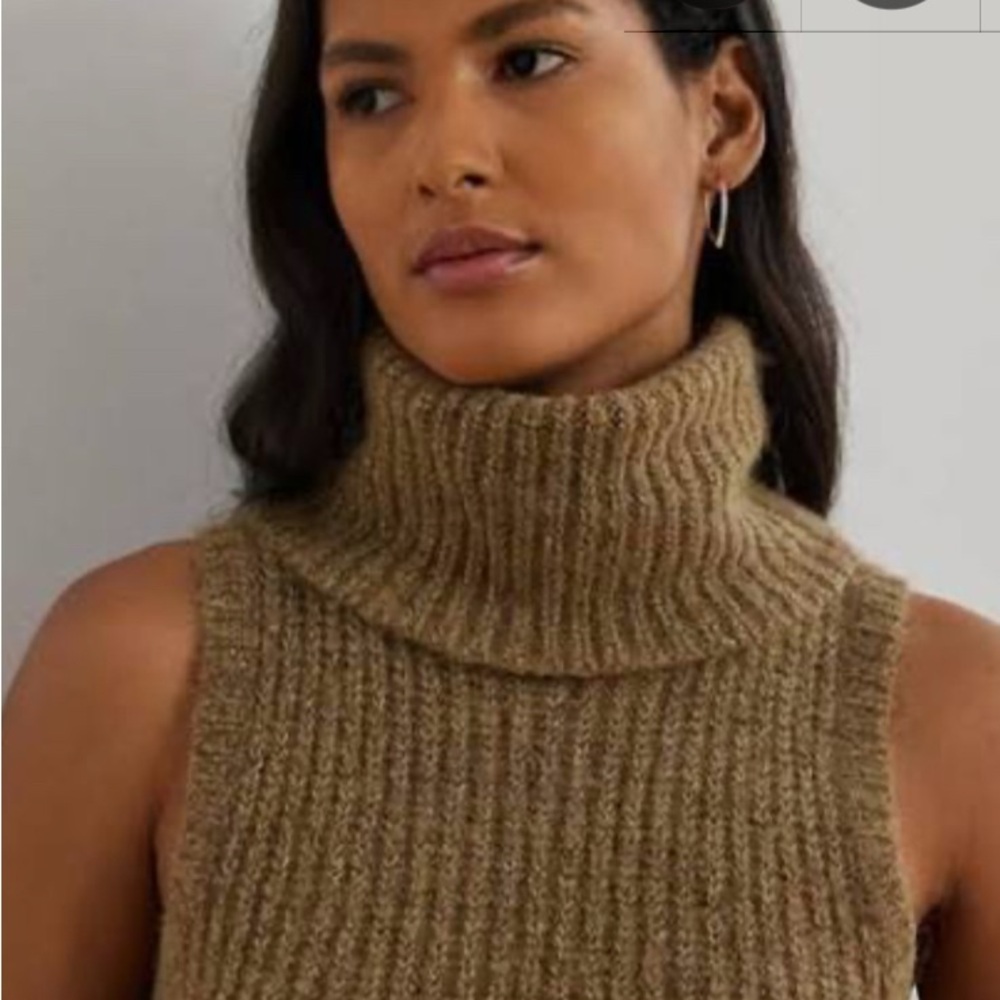 Polo by Ralph Lauren Brown Turtleneck Sweater